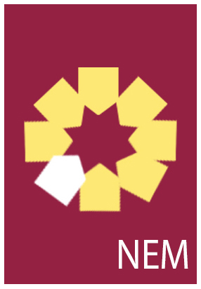 Image result for NEM insurance plc logo